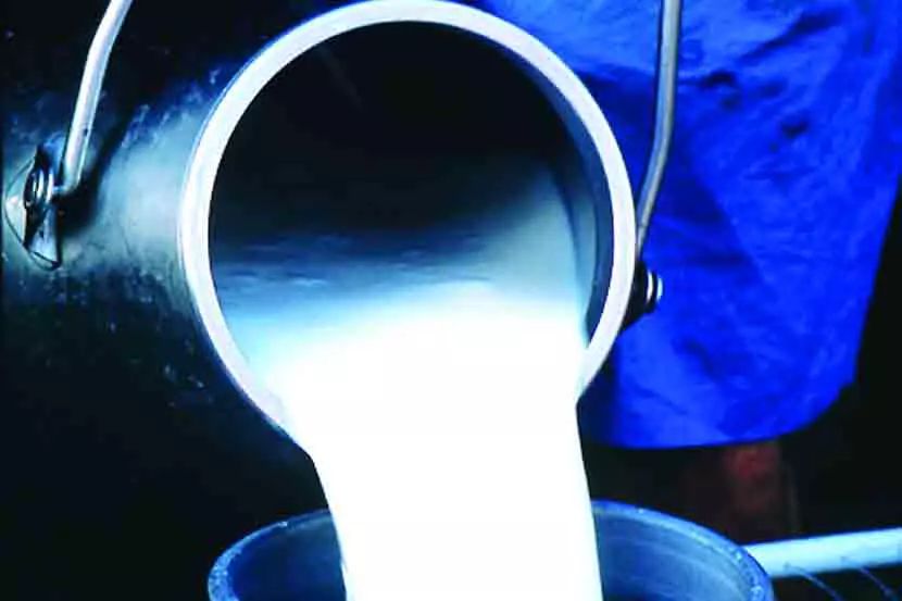 गाईचे दूध ४८, म्हशीचे दूध ५८ रुपये प्रतिलिटर, अंमलबजावणी आजपासून