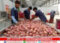 शेतकऱ्यांना मोठा आधार! सोलापुरात कांद्याला मिळाला प्रति क्विंटल ‘एवढया’ हजारांचा भाव