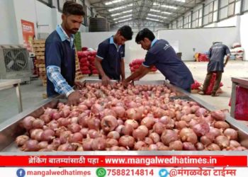 शेतकऱ्यांना मोठा आधार! सोलापुरात कांद्याला मिळाला प्रति क्विंटल ‘एवढया’ हजारांचा भाव