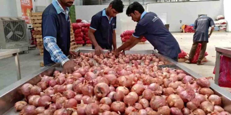 शेतकऱ्यांना मोठा आधार! सोलापुरात कांद्याला मिळाला प्रति क्विंटल ‘एवढया’ हजारांचा भाव