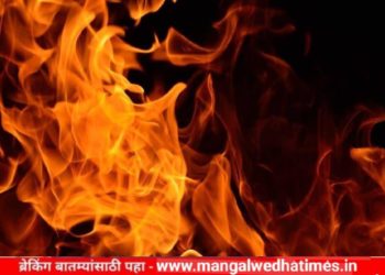 वाहतूक पोलिसाच्या अंगावर पेट्रोल टाकून पेटवून देण्याचा प्रयत्न; सोलापूर जिल्ह्यातील धक्कादायक घटना