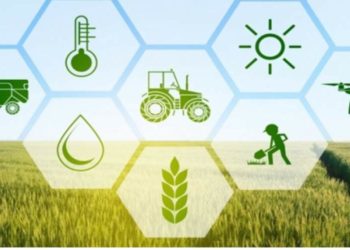 बाळासाहेब ठाकरे कृषी व्यवसायासाठी ऑनलाईन अर्ज करण्याची ‘या’ तारखेपर्यंत अंतिम मुदत