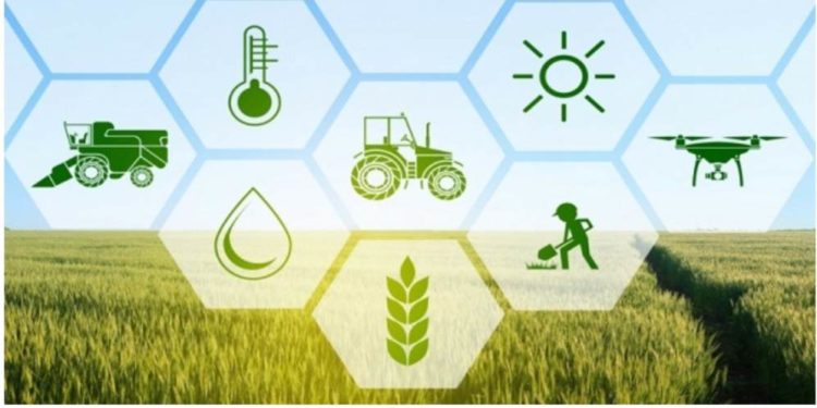 बाळासाहेब ठाकरे कृषी व्यवसायासाठी ऑनलाईन अर्ज करण्याची ‘या’ तारखेपर्यंत अंतिम मुदत