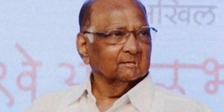 खा.शरद पवारांच्या आजच्या सरकोली दौऱ्याकडे जिल्ह्याचे लक्ष, असा असेल दौरा