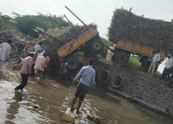 मंगळवेढा ब्रेकिंग! ट्रॅक्‍टर ट्रॉलीसह पुलावरून कोसळला, गावकऱ्यांच्या सतर्कतेमुळे चालक बचावला