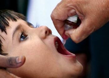 पालकांनो मुलांचे भविष्य घडवा! मंगळवेढ्यात उद्या नवजात बालकांपासून ते १६ वर्षा पर्यंतच्या बालकांसाठी सुवर्णप्राशन शिबीर; फायदे वाचून थक्क व्हाल