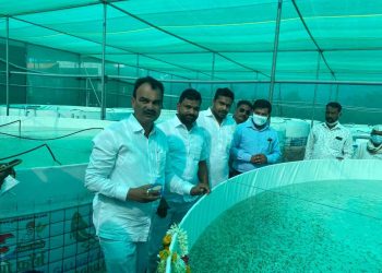 पाटखळ येथे गिलनेट फिशरीज अँड ऍग्रो फार्मचे पालकमंत्री दत्ता भरणे यांच्या हस्ते उद्घाटन