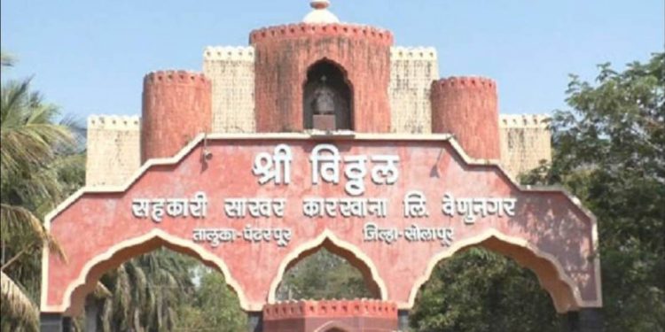 पवार साहेब तुम्हीच न्याय मिळवून द्या! विठ्ठल कारखान्याच्या ऊस बिलासाठी शेतकऱ्याचा बेमुदत उपोषणाचा इशारा
