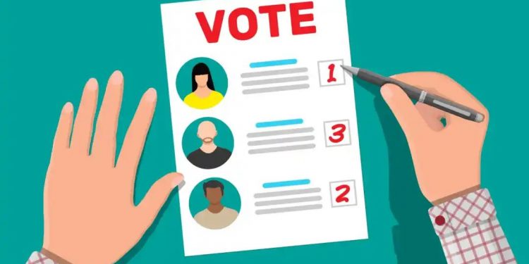 मंगळवेढा-पंढरपूर पोटनिवडणूक! दिवसभरात सरासरी ‘एवढे’ टक्के मतदानाची नोंद