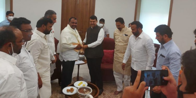 मतदारसंघातील विकासासाठी आ.समाधान आवताडेंनी घेतली देवेंद्र फडणवीसांची भेट; औषधांचा कोटा वाढवून देण्याची केली मागणी