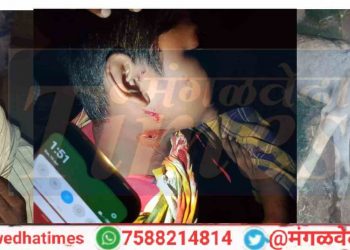मंगळवेढ्यातील ३ गावात लांडग्याचा जीवघेणा हल्ला १० जण जखमी; ग्रामीण भागात भितीचे वातावरण