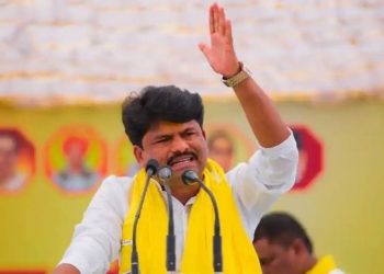 गोपीचंद पडळकरांच्या गाडीवर दगडफेक करणारा कॅमेऱ्यात कैद; व्हिडिओ व्हायरल