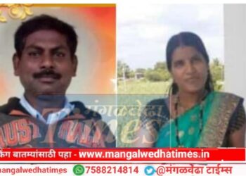 पतीच्या निधनानंतर 33 वर्षीय पत्नीची आत्महत्या; मंगळवेढयातील दाम्पत्याचा करुण अंत