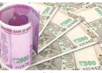 तरुणांनो! घरबसल्या पैसे कमावण्याची व शिकण्याची संधी; दररोज मिळणार पगार