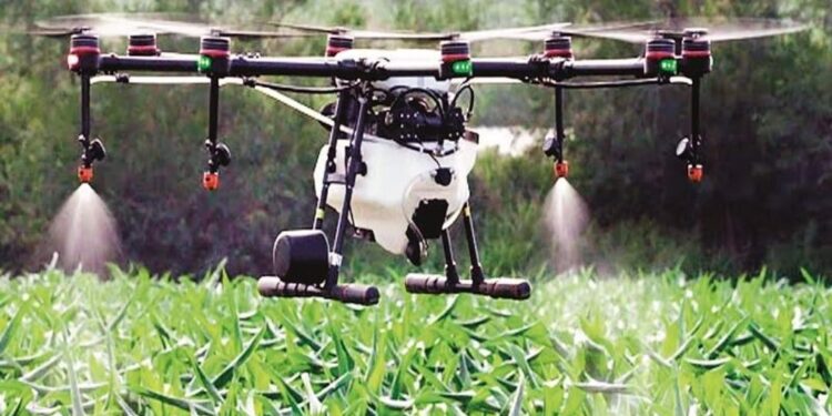 शेतकऱ्यांनो! मंगळवेढ्यात ड्रोनद्वारे बागेमध्ये केली जातेय कीटकनाशक औषध फवारणी; पहा कशी होतेय पाणी व पैशाची बचत