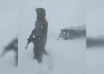 सलाम! बर्फाच्या वादळातही न डगमगता उभा आहे भारतमातेचा जवान, जवानाचं होतंय कौतुक; पाहा व्हिडीओ