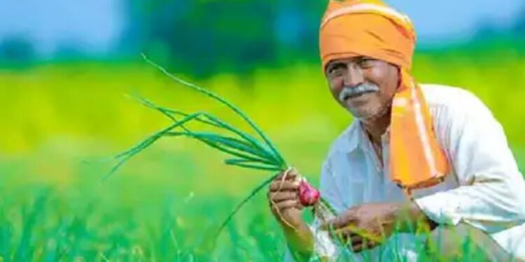 शेतकऱ्यांनो! ई-पीक पाहणी कालावधीस ‘या’ तारखेपर्यंत मुदतवाढ