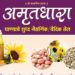 आरोग्यवर्धक! मंगळवेढ्यात मिळतंय ‘शुद्ध घाण्याचे नैसर्गिक तेल’; ‘तेल बिया द्या अन् तेल घेऊन जा’…अमृतधारा मिलचा उपक्रम
