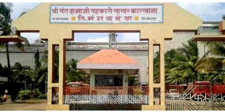 नीट समजून घ्या! दामाजी साखर कारखाना निवडणुक; यांनाच मिळणार मताचा अधिकार