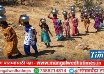 ऐन पावसाळ्यात मंगळवेढा तालुक्यातील ‘या’ गावात तीव्र पाणी टंचाई; गावकऱ्यांनी केली ‘अमेझॉन’ला पाणी विकत देण्याची मागणी