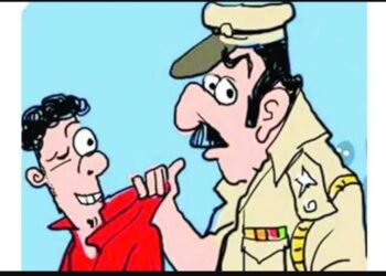 मंगळवेढ्यात सासूच्या खून प्रकरणात जावई अटकेत; मिळाली ‘इतक्या’ दिवसाची पोलिस कोठडी