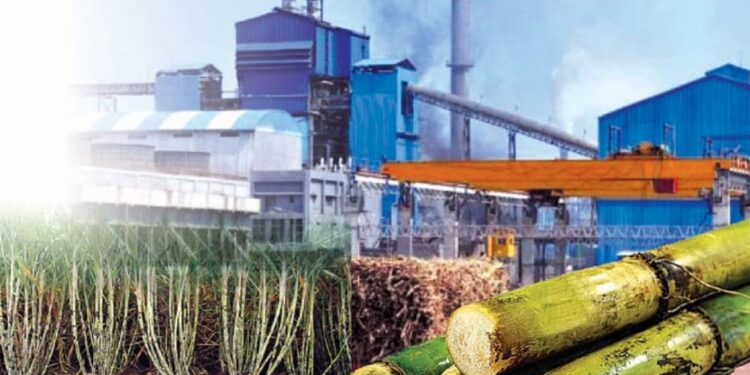 ऊसाची पहिली उचल 2500 जाहिर करा व अंतीम बिल 3100 द्या; स्वाभिमानी शेतकरी संघटना या मागणीवर ठाम