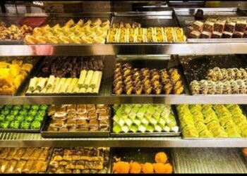 वारकऱ्यांच्या जीविताशी खेळ! कार्तिकी यात्रेत ‘इतक्या’ हजारांचा भेसळ पेढा कचऱ्यात, ‘या’ पदार्थाची भेसळ उघड; अन्न व औषध प्रशासनाची धडक मोहीम