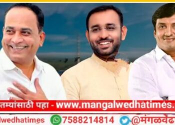 सगळं गेल्यावर आता पत्ते खेळत बसण्याशिवाय काही काम राहिले नाही; उमेश परीचारकांची भगीरथ भालकेवर सडकून टीका