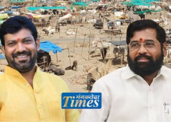 मंगळवेढा व सांगोला तालुक्यातील छावणी चालकांची मुख्यमंत्र्यांसोबत बैठक; अनिल सावंत यांच्या पुढाकाराने तोडगा निघणार