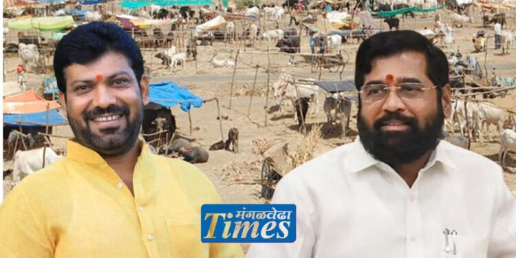 मंगळवेढा व सांगोला तालुक्यातील छावणी चालकांची मुख्यमंत्र्यांसोबत बैठक; अनिल सावंत यांच्या पुढाकाराने तोडगा निघणार