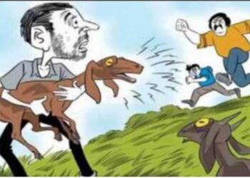 भुरटे चोर! मंगळवेढा ‘या’ परिसरातून 20 हजार रुपये किंमतीच्या 3 शेळ्या चोरट्यांनी पळविल्या; गुन्हा दाखल