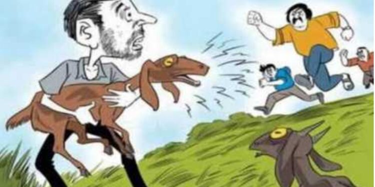 भुरटे चोर! मंगळवेढा ‘या’ परिसरातून 20 हजार रुपये किंमतीच्या 3 शेळ्या चोरट्यांनी पळविल्या; गुन्हा दाखल