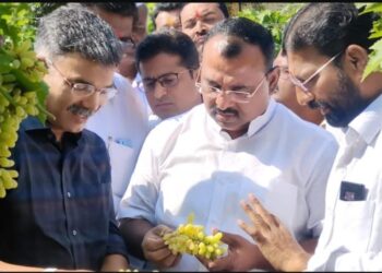 आमदार आवताडे शेतकऱ्यांच्या बांधावर; मंगळवेढा-पंढरपुरातील नुकसानग्रस्त पिकांचे तात्काळ पंचनामे करा अधिकाऱ्यांना दिल्या सूचना