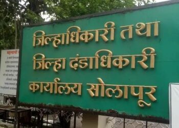 सोलापुरातील १४ जणांची नायब तहसीलदारपदी बढती; ११ अव्वल कारकून व तिघा मंडलाधिकाऱ्यांचा समावेश