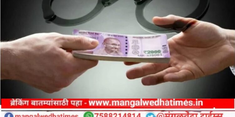बडा मासा! मंगळवेढा प्रांत कार्यालयातील तलाठी निघाला लाचखोर; लाचेची रक्कम घेऊन केला पोबारा; लाच कुणाच्या सांगण्यावरून?
