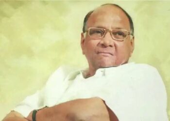 राष्ट्रवादीचे नवे अध्यक्ष कोण होणार? ‘ही’ समिती करणार निवड; पाहा कोण आहेत सदस्य