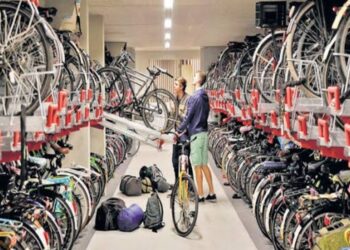 Job Update! मंगळवेढ्यातील श्री सायकल कंपनीमध्ये टॅली प्राईम व हेल्पर पदांसाठी भरती; शाळा, ग्रामपंचायतीसाठी होलसेल दरात सर्व सायकली उपलब्ध