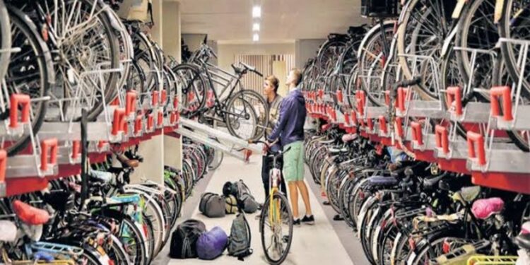 Job Update! मंगळवेढ्यातील श्री सायकल कंपनीमध्ये टॅली प्राईम व हेल्पर पदांसाठी भरती; शाळा, ग्रामपंचायतीसाठी होलसेल दरात सर्व सायकली उपलब्ध