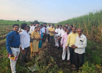 आ.आवताडेंनी अधिकाऱ्यांसोबत केला नुकसानीचा पंचनामा; आमदारांनी शेतकऱ्यांना दिला ‘हा’ शब्द