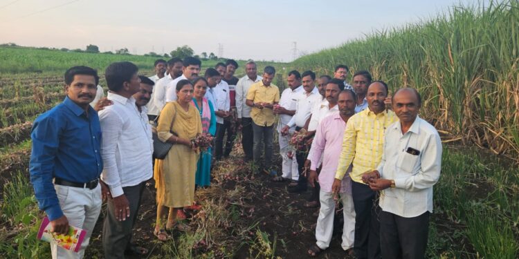 आ.आवताडेंनी अधिकाऱ्यांसोबत केला नुकसानीचा पंचनामा; आमदारांनी शेतकऱ्यांना दिला ‘हा’ शब्द