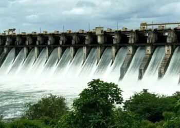 शेतकऱ्यांनो! जनावरांच्या चाऱ्याची चिंता मिटली; उजनीतून शेतीसाठी सोडलेले पाणी ‘या’ तारखेपर्यंत राहणार; कालव्यातूनही शेतीला पाणी