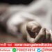 Breaking! मंगळवेढा तालुक्यातील वृद्धाने चिठ्ठी लिहून संपविले जीवन; मुलाविरोधात गुन्हा दाखल धक्कादायक कारण आले समोर..?