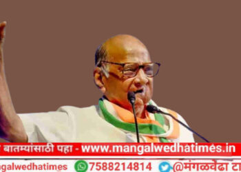 एका बाजूला यांची मोदींची गॅरंटी आणि दुसऱ्या बाजूला दर दिवसाला शेतकरी आत्महत्या करतोय; ही स्थिती किती दिवस चालू द्यायची; शरद पवारांनी साधला निशाणा