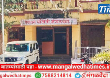 सोलापूर जिल्ह्यातील प्रत्येक तालुक्यातील एका गावाची निवड, १० लाख रुपयांचे बक्षीस; मंगळवेढा तालुक्यातील ‘या’ ग्रामपंचायतीचा होणार सन्मान