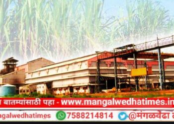 शेतकऱ्यांनो! भैरवनाथ शुगरचे गाळप शेवटच्या आठवड्यात होणार बंद; आत्तापर्यंत तीन लाख गाळप यशस्वीरित्या पूर्ण