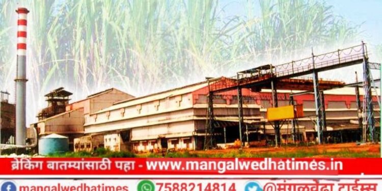 शेतकऱ्यांनो! भैरवनाथ शुगरचे गाळप शेवटच्या आठवड्यात होणार बंद; आत्तापर्यंत तीन लाख गाळप यशस्वीरित्या पूर्ण