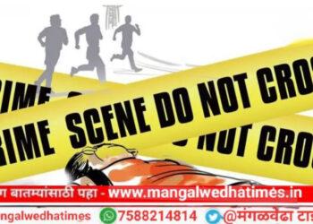 मोठी बातमी! कृषिभूषण अंकुश पडवळे यांना पिस्तुल दाखवून केली जबर मारहाण; सहा जणांविरुद्ध गुन्हा दाखल; काय आहे नेमके प्रकरण; जाणून घ्या..