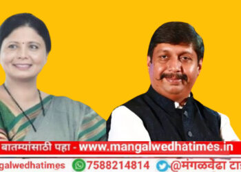 धैर्यशील मोहिते पाटील यांच्या प्रचारार्थ शिवसेनेच्या फायरब्रँड नेत्या सुषमा अंधारे यांची आज महूद मध्ये जाहीर सभा; सभेकडे मातब्बर नेते डोळे लावून बसलेत