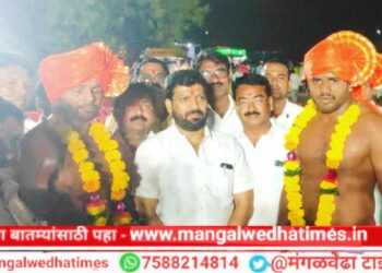 शाब्बास रे पठ्ठ्या…! अर्जुन पुरस्कार विजेत्यांने पटकावला अनिल (दादा) सावंत कुस्तीचा किताब; सलगरच्या कुस्ती मैदानात हजारो क्रीडाप्रेमींची उपस्थिती