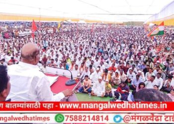 लोकशाही टिकवण्यासाठी भाजपला हद्दपार करा; धैर्यशील मोहिते पाटील यांच्या प्रचारार्थ शरद पवार यांची जाहीर सभा; 30 हजार जनसमुदाय उपस्थित